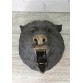 Statuette "Bear's head (on the wall)"
